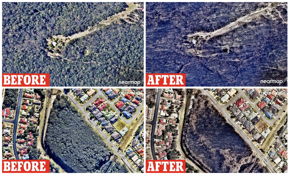 Building for Survival: Simulating Bushfire Resilience under NCC 2022